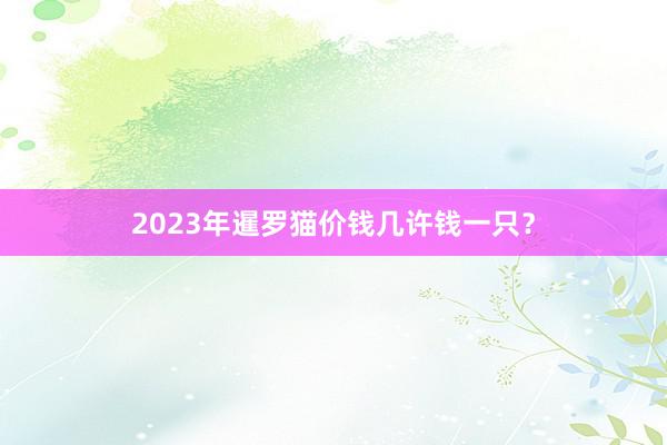 2023年暹罗猫价钱几许钱一只？